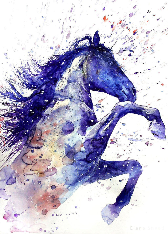 Alluring Horse - Paint by Diamonds - diamond-painting-bliss.myshopify.com