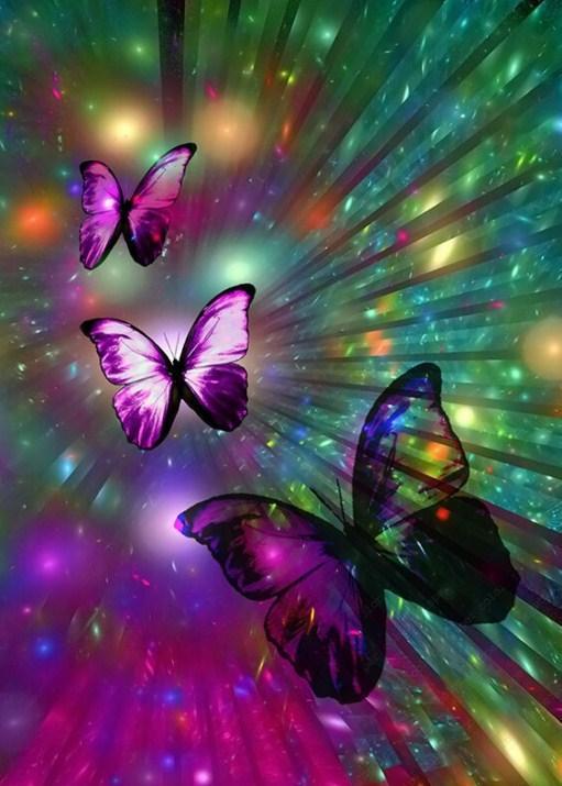 Amazing Butterflies - Paint with Diamonds - diamond-painting-bliss.myshopify.com