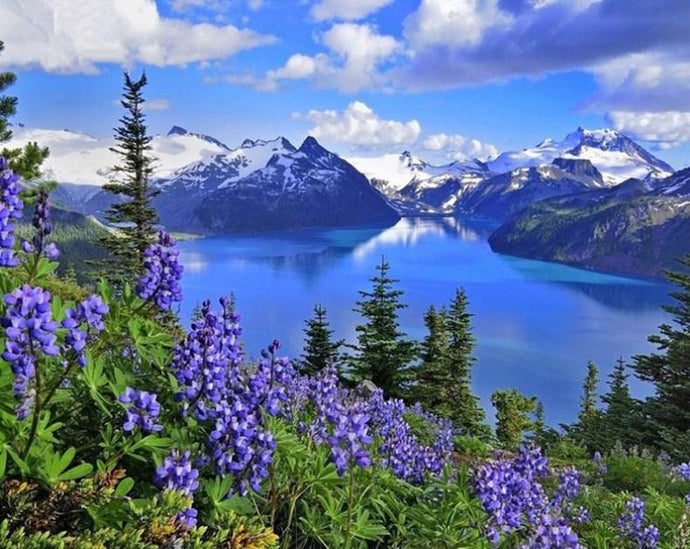 Amazing Mountains View & Blue Flowers - diamond-painting-bliss.myshopify.com