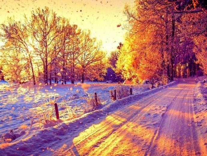 Amazing Snowy Street in Winter - diamond-painting-bliss.myshopify.com
