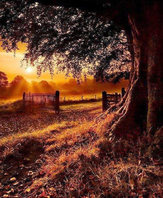 Autumn Evening Landscape - diamond-painting-bliss.myshopify.com