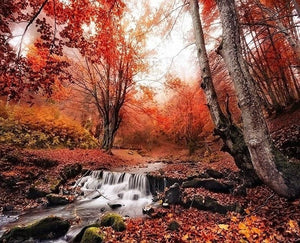 Autumn Forest Landscape Painting - diamond-painting-bliss.myshopify.com
