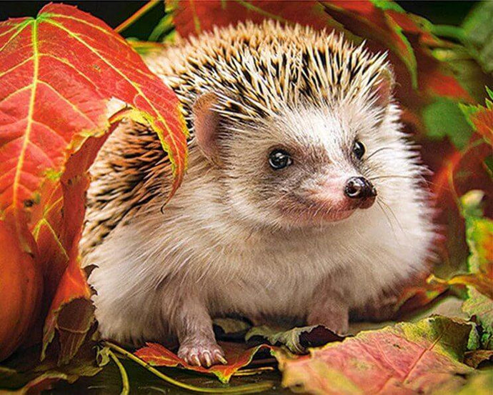 Autumn Hedgehog Painting Kit - diamond-painting-bliss.myshopify.com