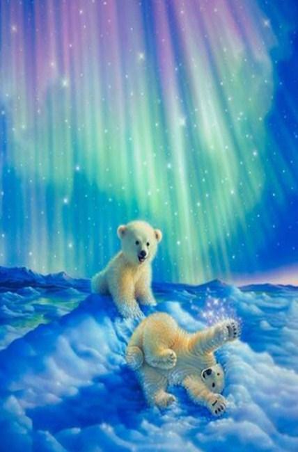 Baby Bears & Aurora Lights - diamond-painting-bliss.myshopify.com