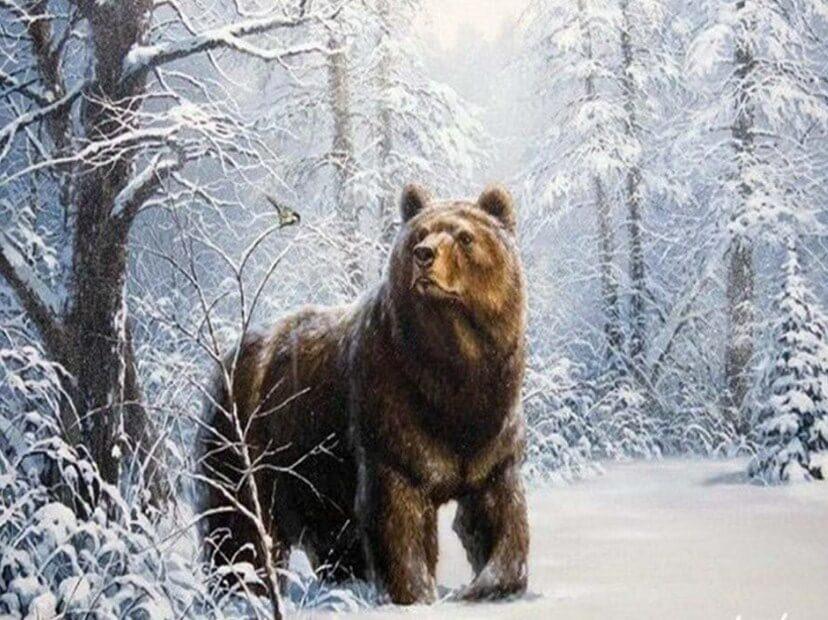 Bear in Snow Diamond Painting Kit - diamond-painting-bliss.myshopify.com