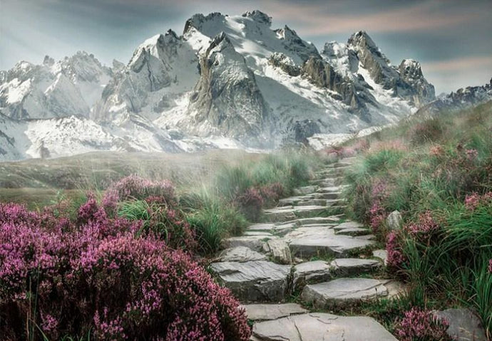 Beautiful Pathway to Mountains - diamond-painting-bliss.myshopify.com
