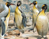 Beautiful Penguins - Paint with Diamonds - diamond-painting-bliss.myshopify.com
