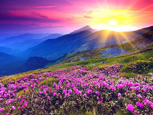 Beautiful Sunrise & Pink Flowers - diamond-painting-bliss.myshopify.com