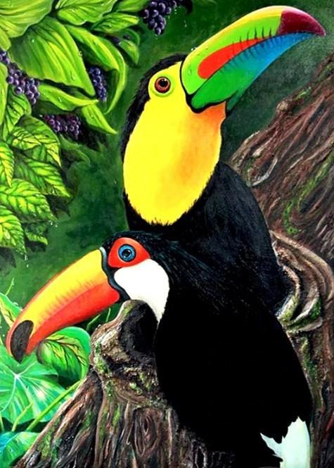 Beautiful Toucan Birds Pair - diamond-painting-bliss.myshopify.com