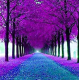 Beautiful Trees Pathway - diamond-painting-bliss.myshopify.com