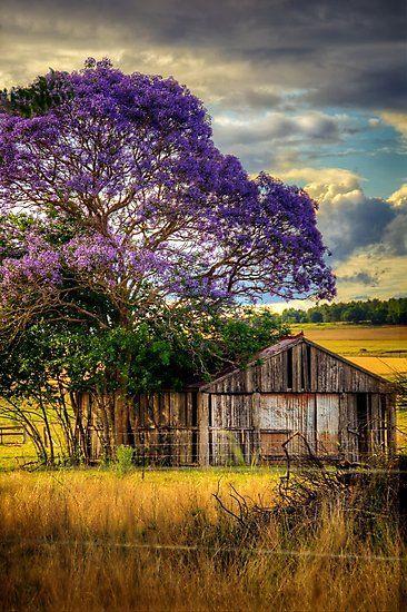 Beautiful tree & House - diamond-painting-bliss.myshopify.com