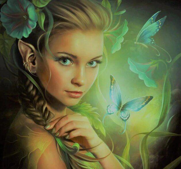 Beauty & Butterflies - diamond-painting-bliss.myshopify.com