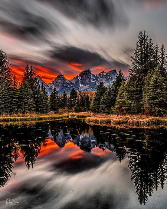 Beauty of Nature - diamond-painting-bliss.myshopify.com