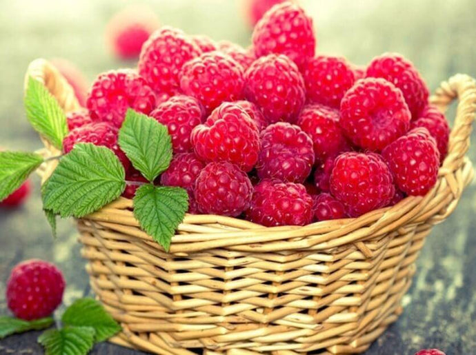 Berries Basket Diamond Painting Kit - diamond-painting-bliss.myshopify.com