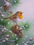 Bird Sitting on Pine Cone - diamond-painting-bliss.myshopify.com