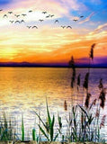Birds Coming Back to Homes - diamond-painting-bliss.myshopify.com