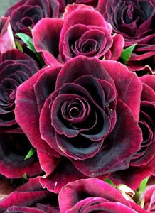 Black Beauty Rose - Diamond Painting Kit - diamond-painting-bliss.myshopify.com