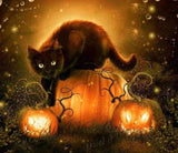 Black Cat & Halloween Pumpkins - diamond-painting-bliss.myshopify.com