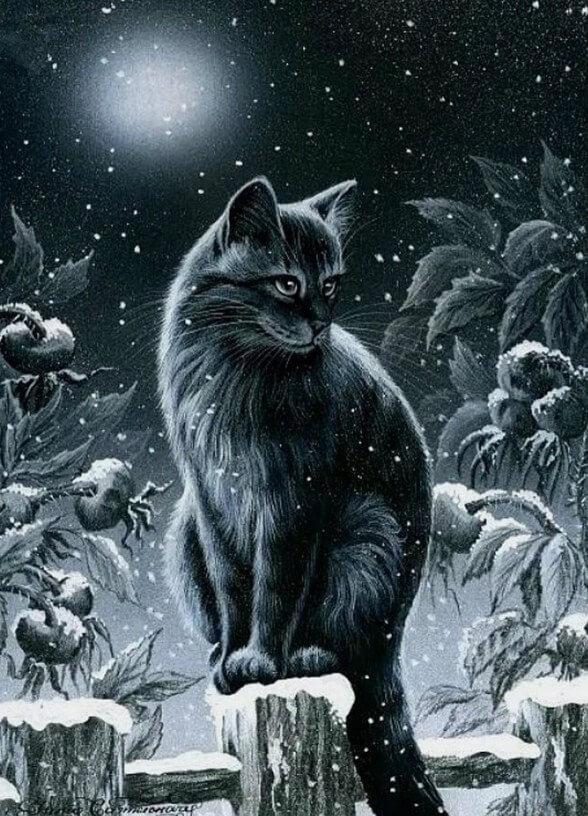 Black Cat in the Night - diamond-painting-bliss.myshopify.com