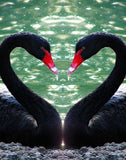 Black Flamingos in Water - diamond-painting-bliss.myshopify.com