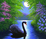 Black Swan in Water - diamond-painting-bliss.myshopify.com