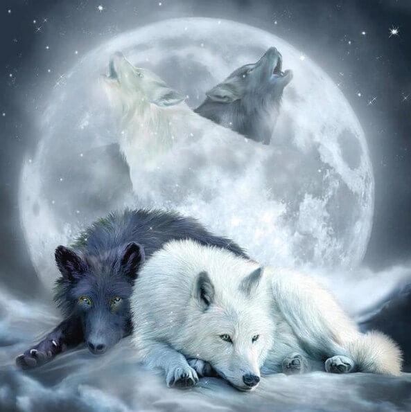 Black & White Wolves - diamond-painting-bliss.myshopify.com