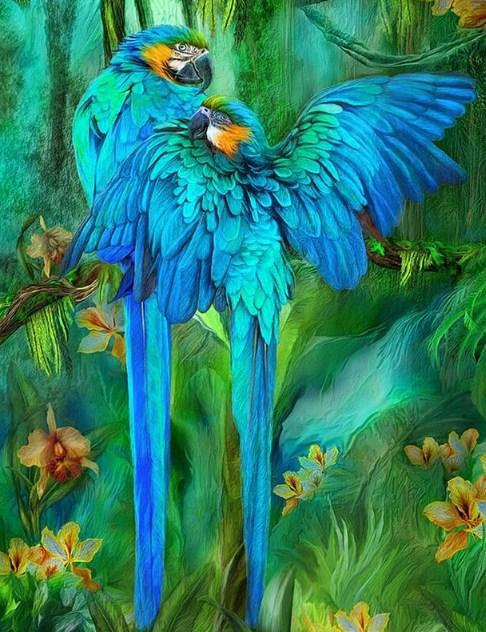 Blue African Parrots Pair - diamond-painting-bliss.myshopify.com