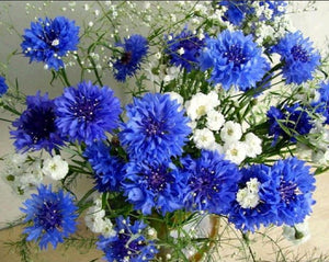 Blue Flowers 5D Diamond Painting - diamond-painting-bliss.myshopify.com