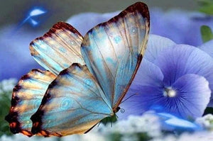 Blue Orchids & Butterfly - diamond-painting-bliss.myshopify.com