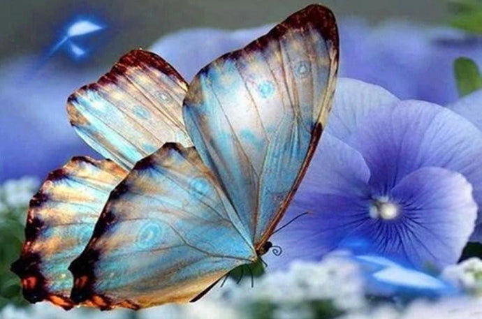 Blue Orchids & Butterfly - diamond-painting-bliss.myshopify.com
