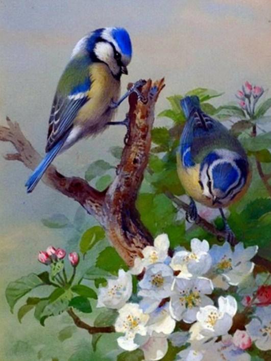 Blue Sparrows & White Flowers - diamond-painting-bliss.myshopify.com