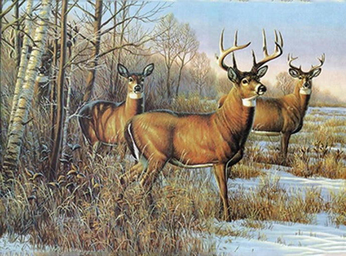 Buck Deer and Doe Diamond Painting - diamond-painting-bliss.myshopify.com