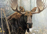 Bull Moose - Paint with Diamonds - diamond-painting-bliss.myshopify.com