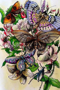 Butterfly Art - Paint by Diamonds - diamond-painting-bliss.myshopify.com
