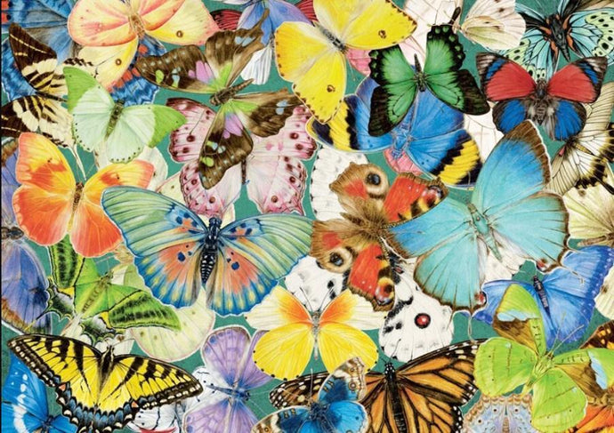 Colorful Butterfly Species - Diamond Painting Kit - diamond-painting-bliss.myshopify.com