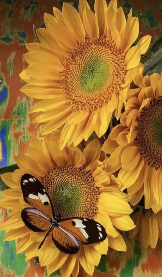 Butterfly on Sunflower - diamond-painting-bliss.myshopify.com