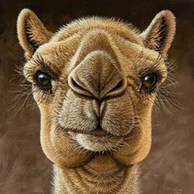 Camel Diamond Painting Kit - diamond-painting-bliss.myshopify.com
