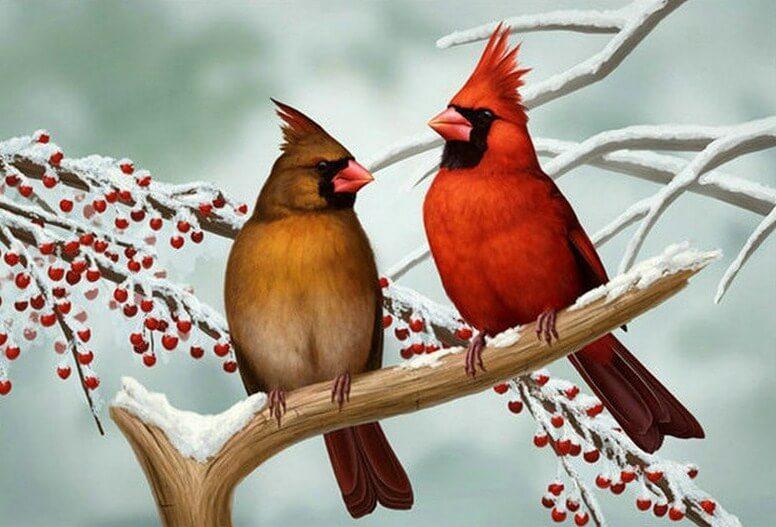 Cardinals Pair Diamond Painting - diamond-painting-bliss.myshopify.com
