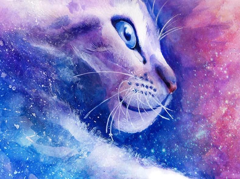 Cat Fantasy - diamond-painting-bliss.myshopify.com