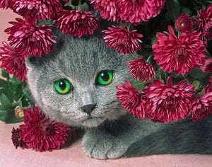 Cat Hiding in Flowers - diamond-painting-bliss.myshopify.com