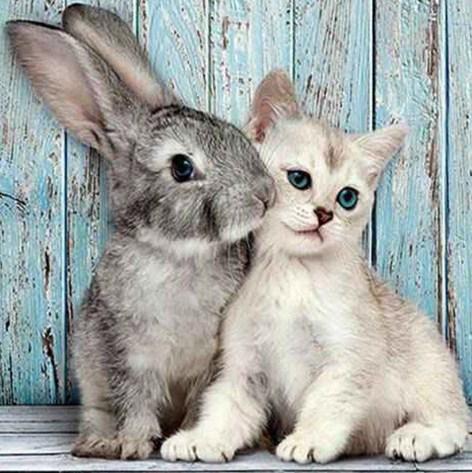 Cat & Rabbit DIY Painting Kit - diamond-painting-bliss.myshopify.com