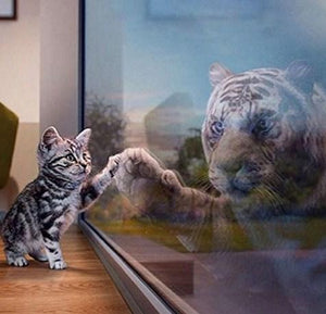 Cat Reflecting as Tiger - diamond-painting-bliss.myshopify.com