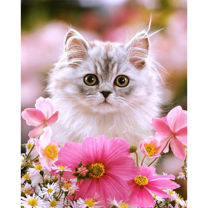 Cat Sitting in Flowers - diamond-painting-bliss.myshopify.com