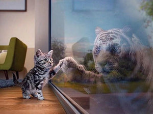 Cat & Tiger Reflection - diamond-painting-bliss.myshopify.com