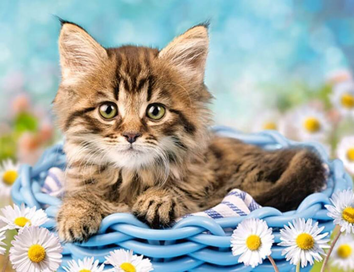Cat & White Daisies - diamond-painting-bliss.myshopify.com