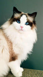 Cat with Blue eyes - diamond-painting-bliss.myshopify.com