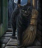 Cat with Broom Diamond Painting - diamond-painting-bliss.myshopify.com