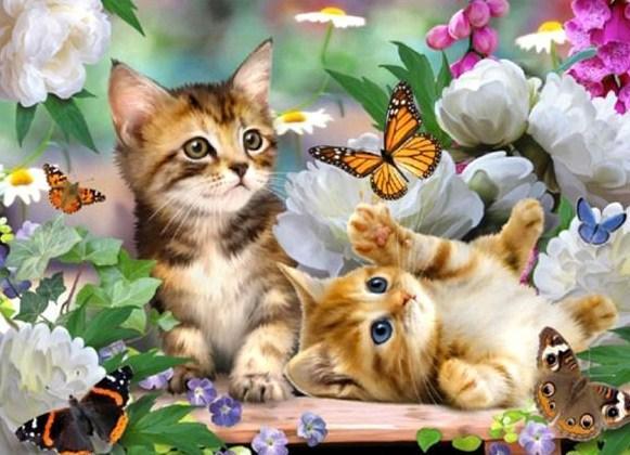 Cats & Butterflies - diamond-painting-bliss.myshopify.com