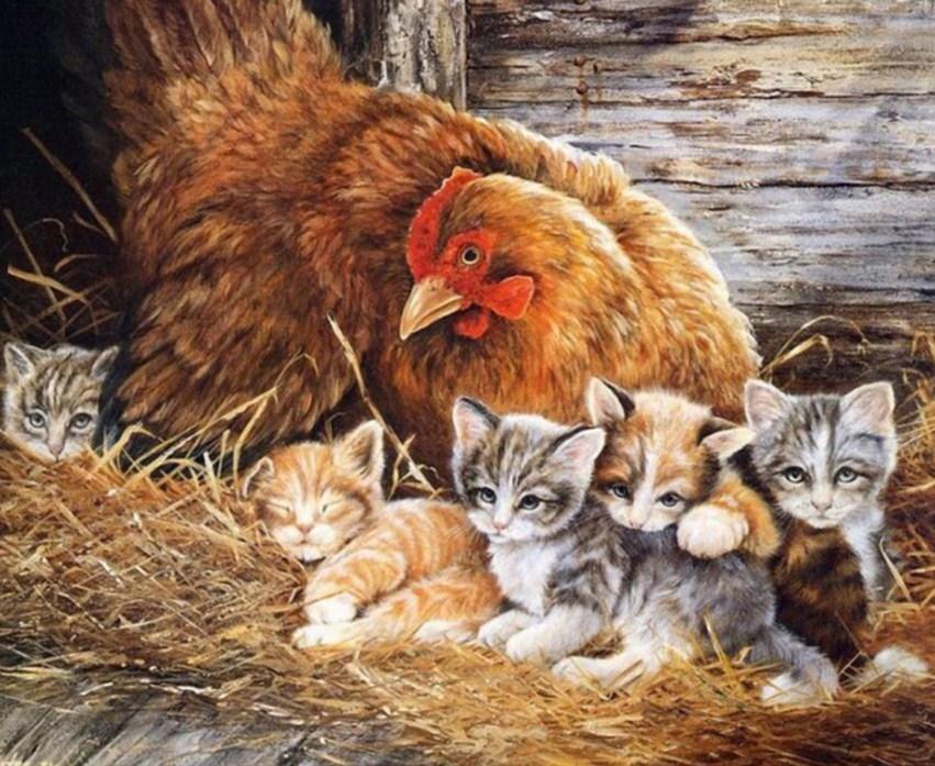 Cats & Chicken Painting Kit - diamond-painting-bliss.myshopify.com