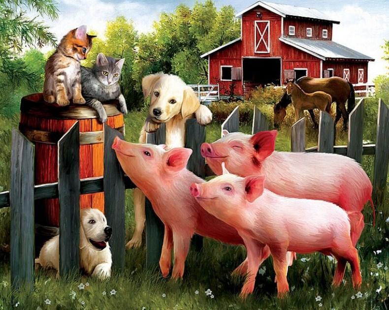 Cats, Dogs, Pigs & Horses - diamond-painting-bliss.myshopify.com